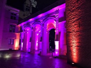 Chauvet fixtures used for La Nuit des Musées at Château de Pau