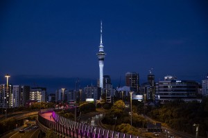 Anolis-Installation auf Aucklands Sky Tower