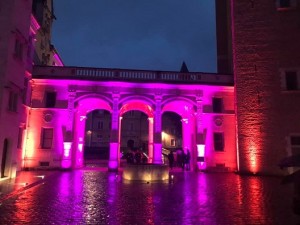 Chauvet fixtures used for La Nuit des Musées at Château de Pau